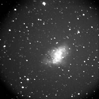 Nebulosa M1 (NGC1952), Crab Nebula