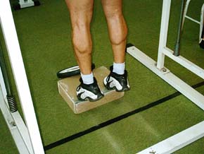 Fitness - Figura 101 - Calf in Piedi al Multipower